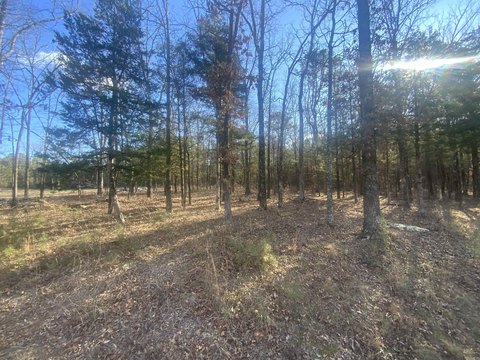 LAND - Greers Ferry, AR