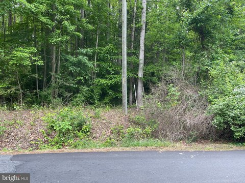 Land with Pond and Stream