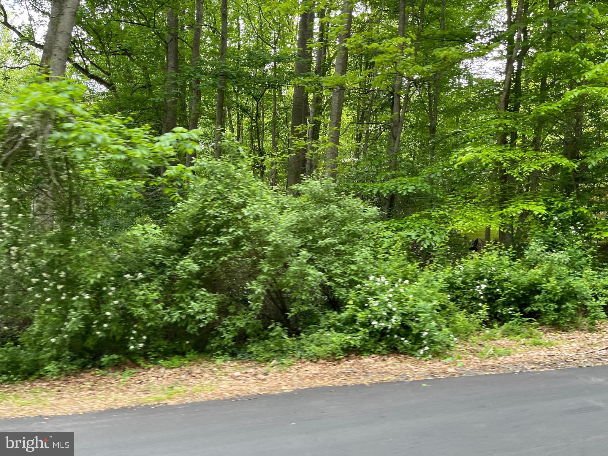 56 Acres of Farmland
