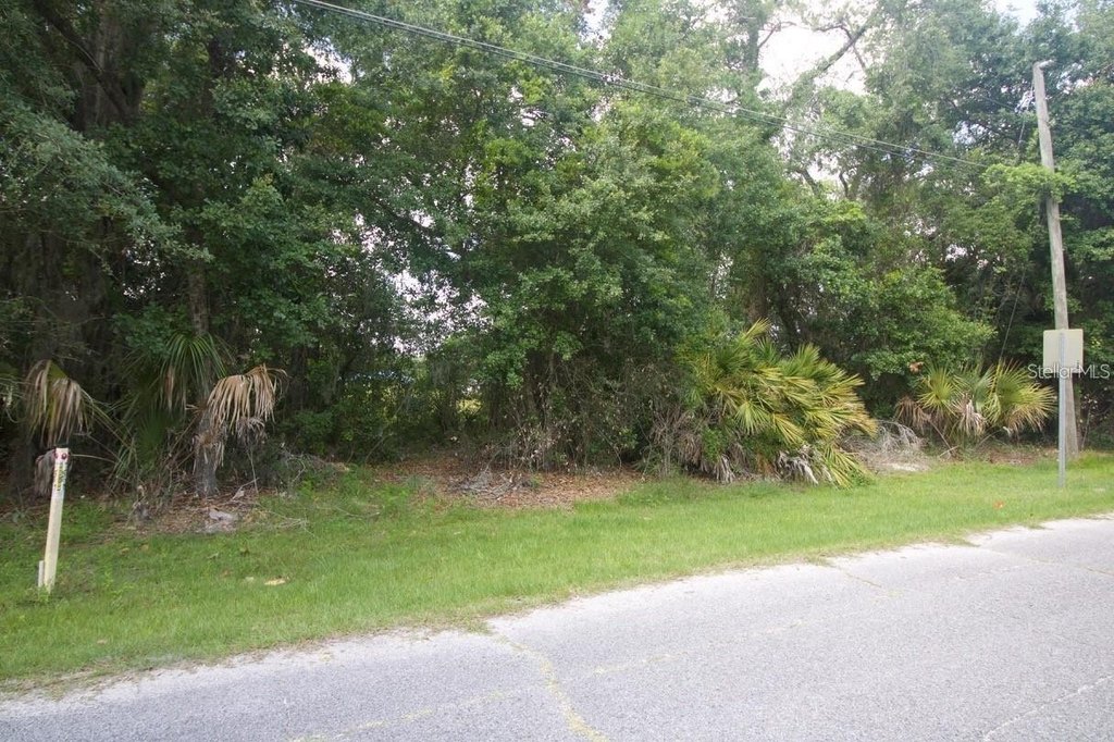 Picture 9