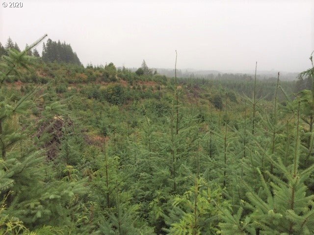 Forest Grove Land For Sale