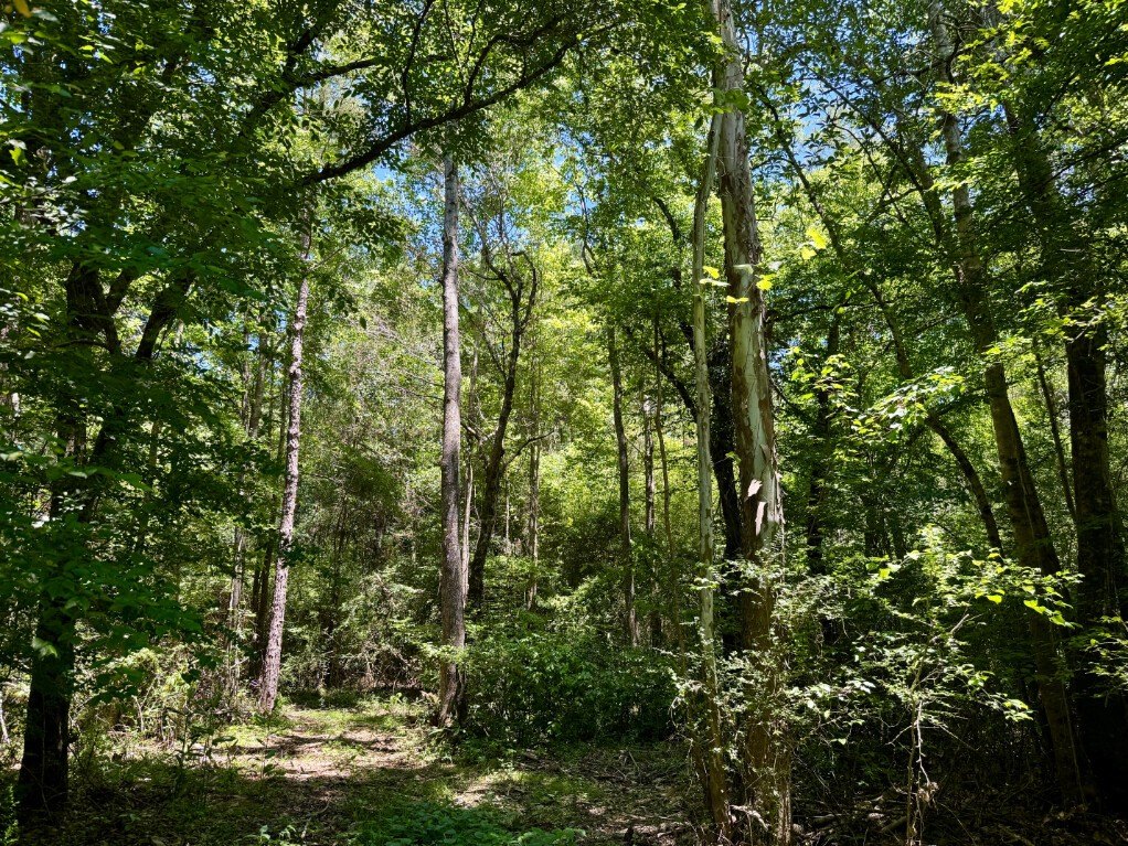 Picture 39