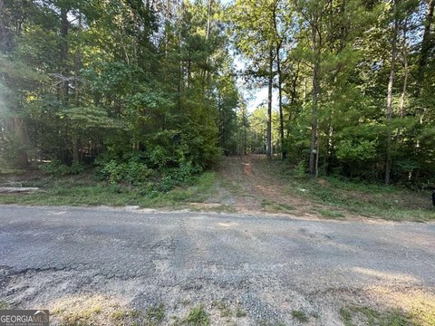 Forsyth, GA Vacant Land
