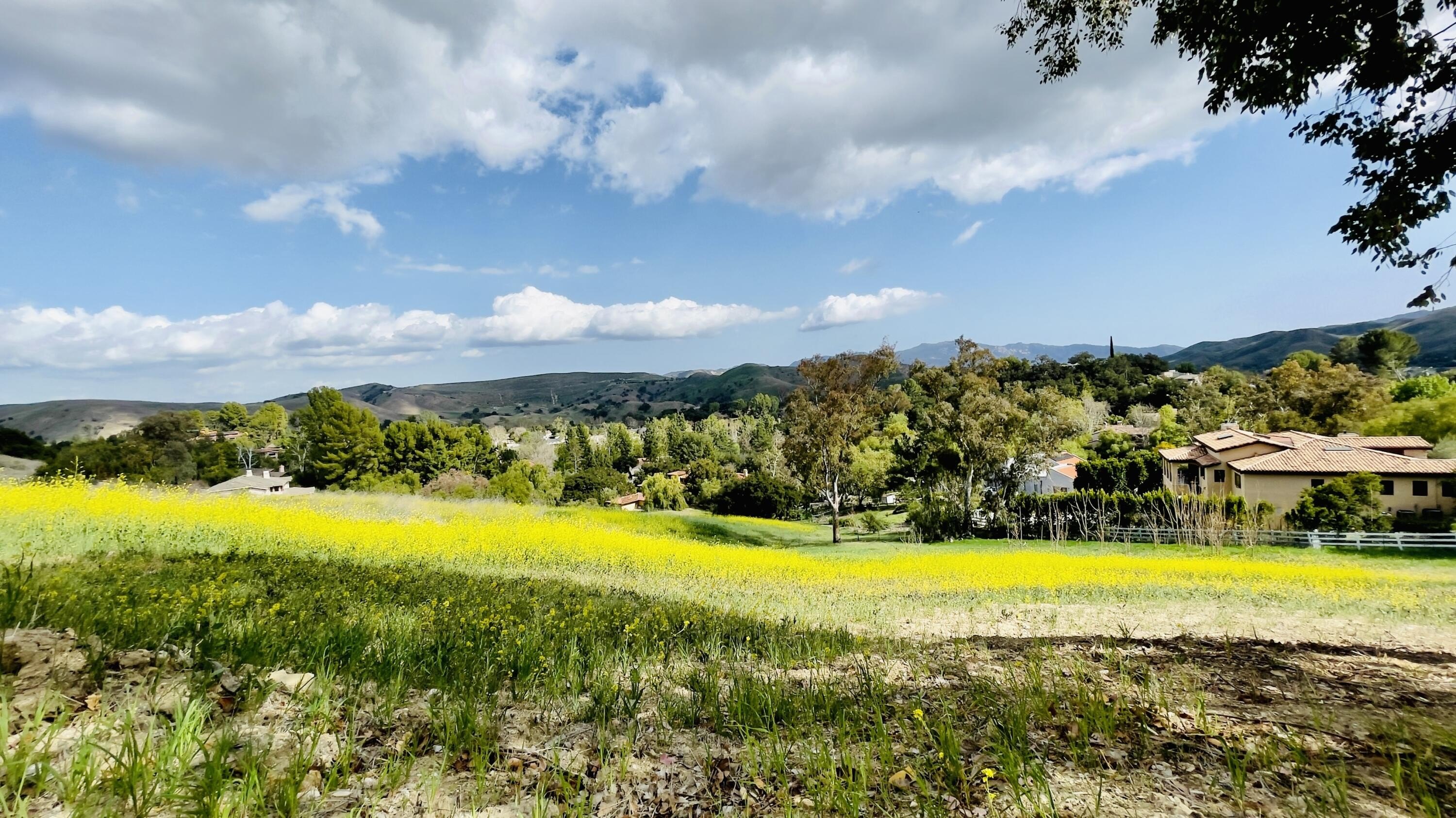 Land in Old Agoura Hills