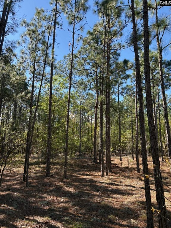 Picture 10