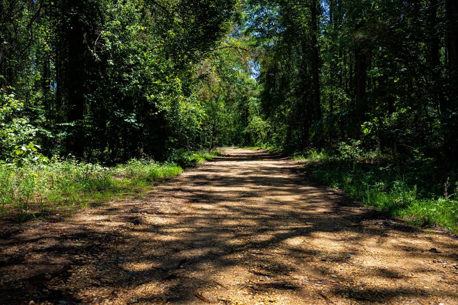 Land Near Fulton, MS