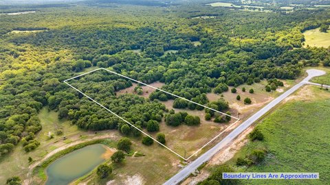 Residential Land Lot with Native Trees