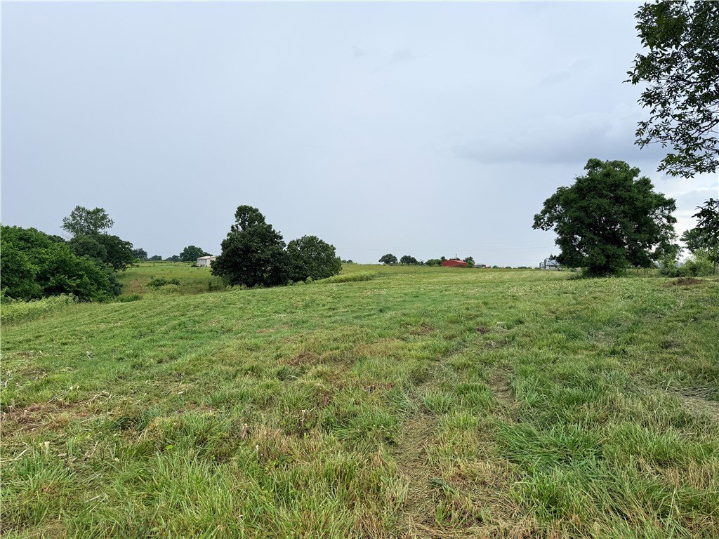 Picture 13