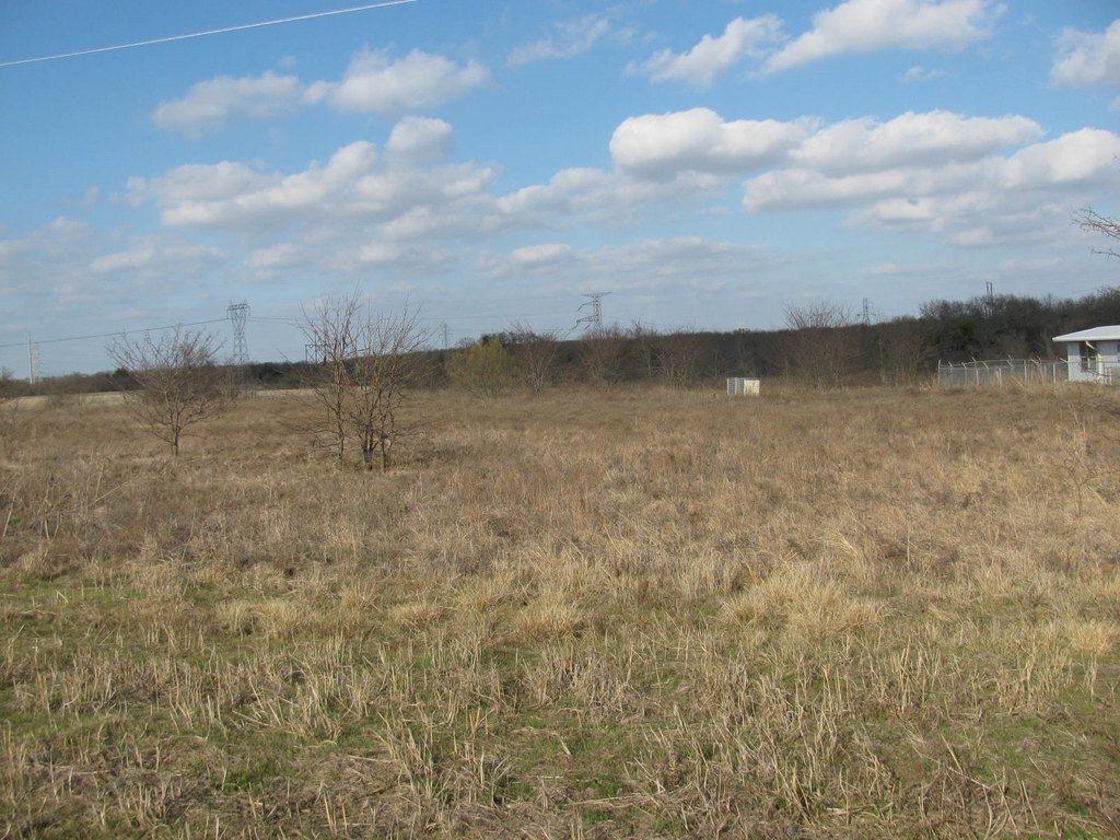 Picture 3