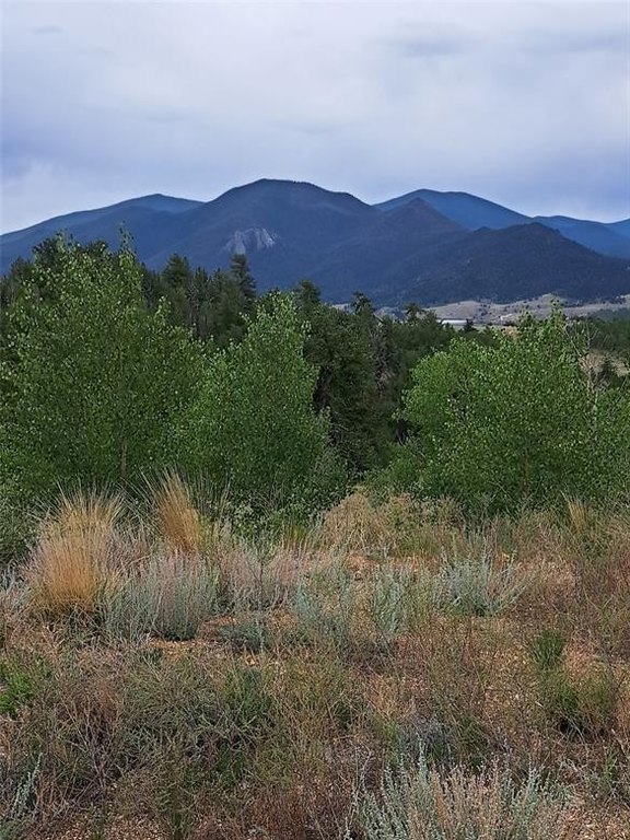 Picture 32