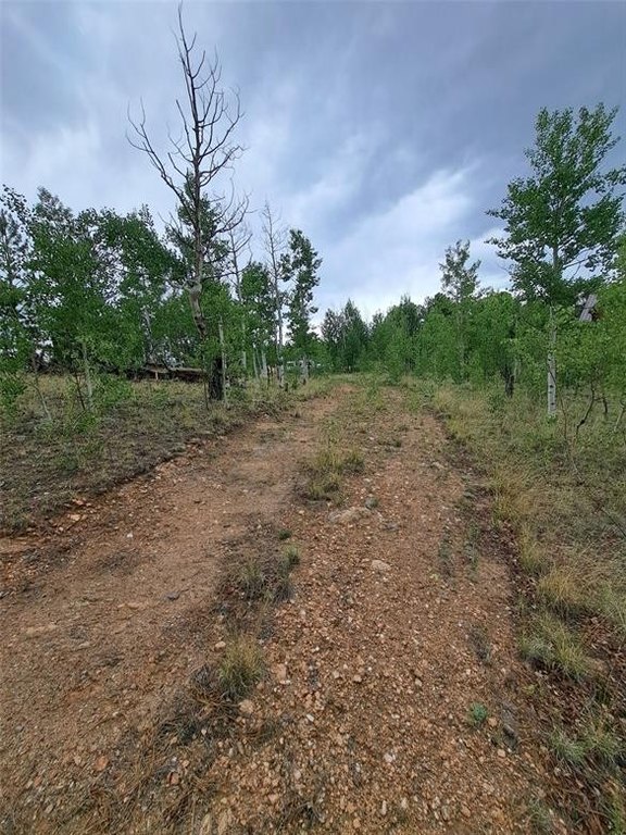 Picture 19