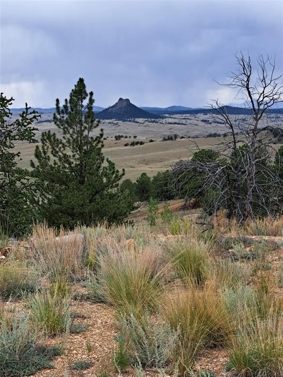 Picture 31