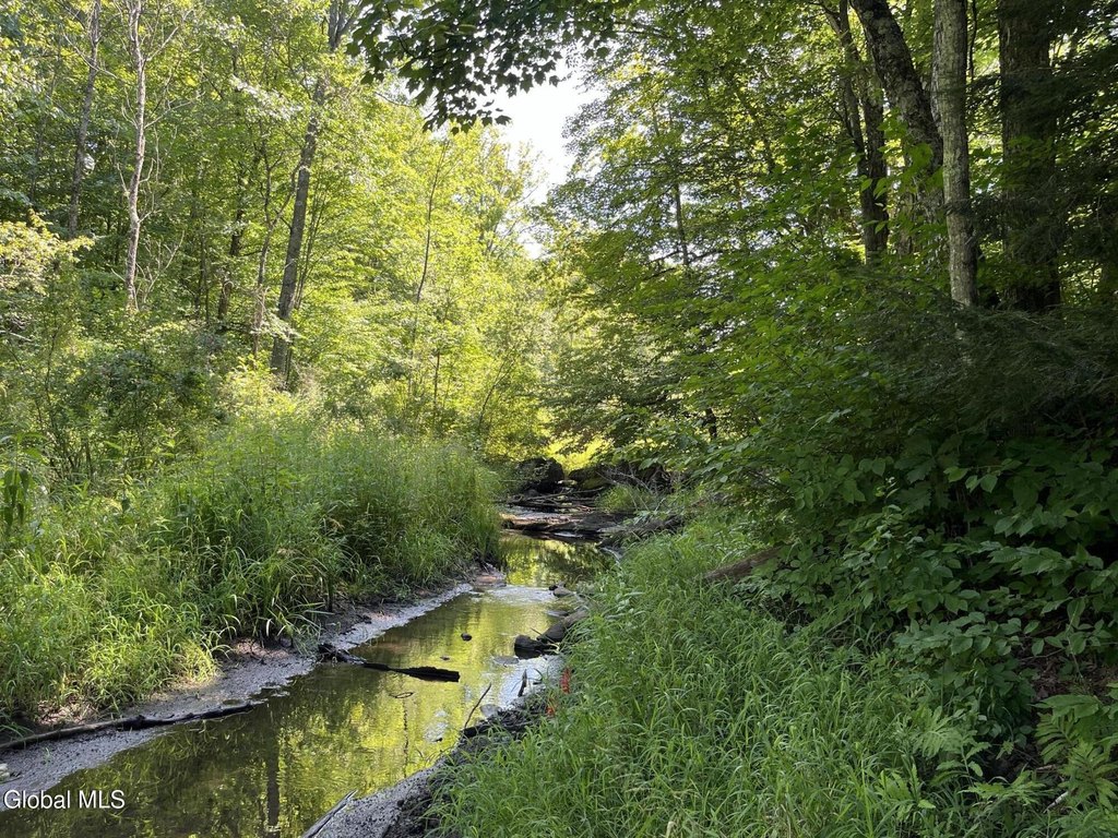 Picture 38