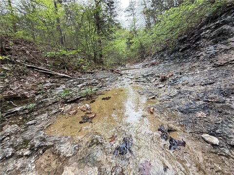 Eureka Springs Land For Sale