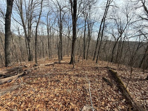 Secluded Land in Eureka Springs