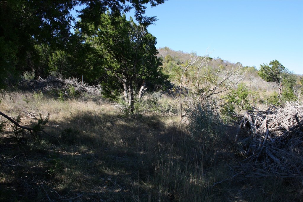 Picture 10
