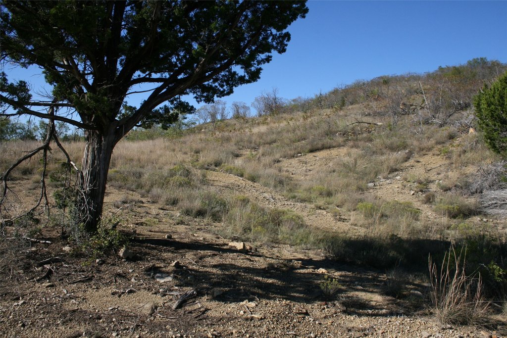 Picture 23