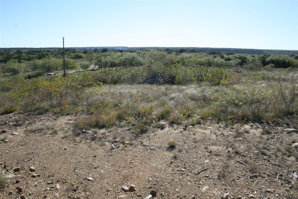 Picture 21