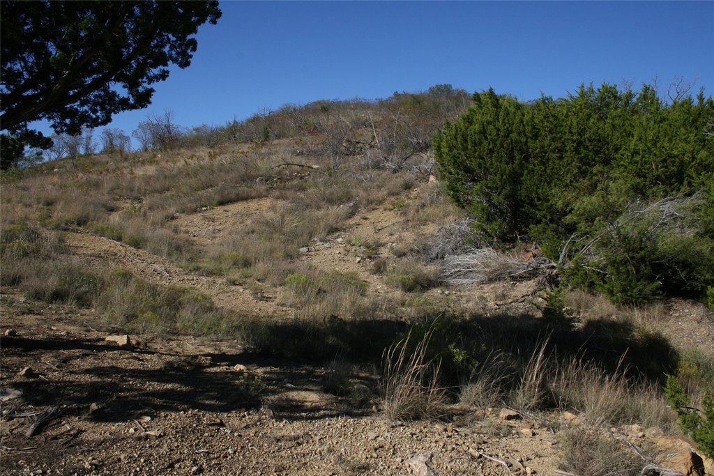 Picture 22