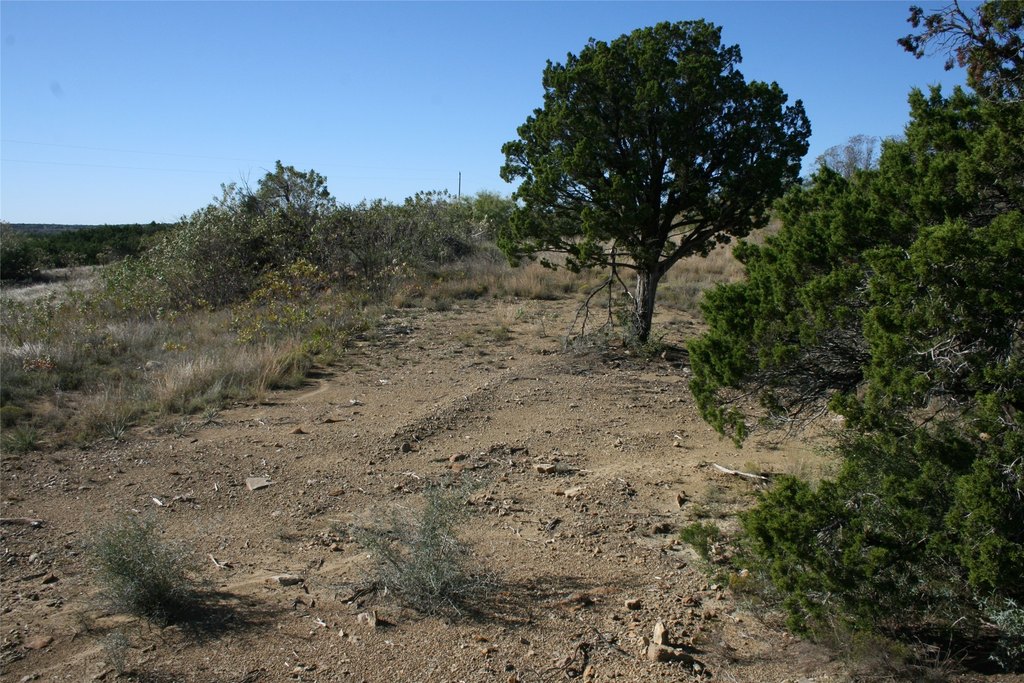 Picture 20