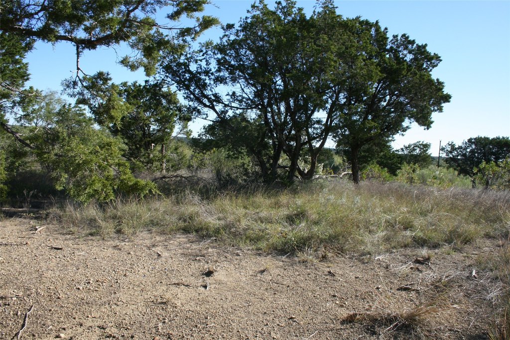 Picture 12