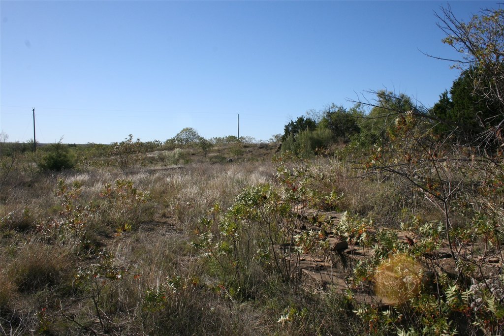Picture 9