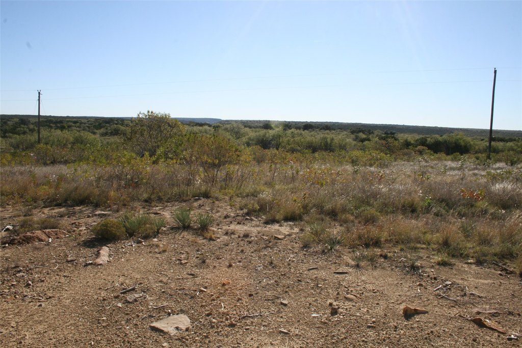Picture 24