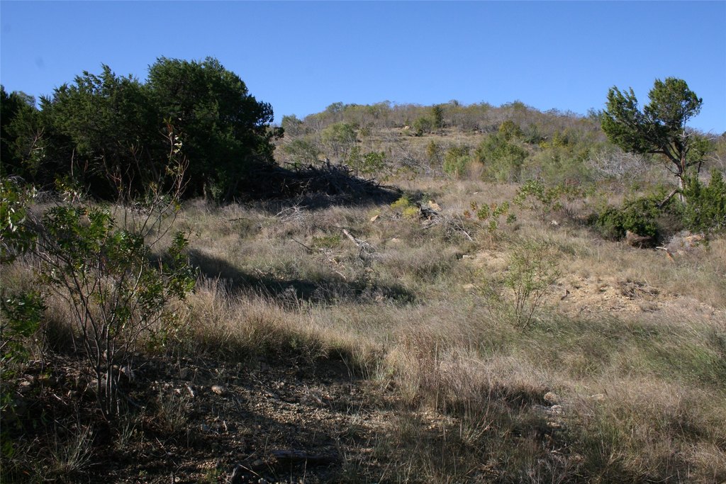 Picture 11