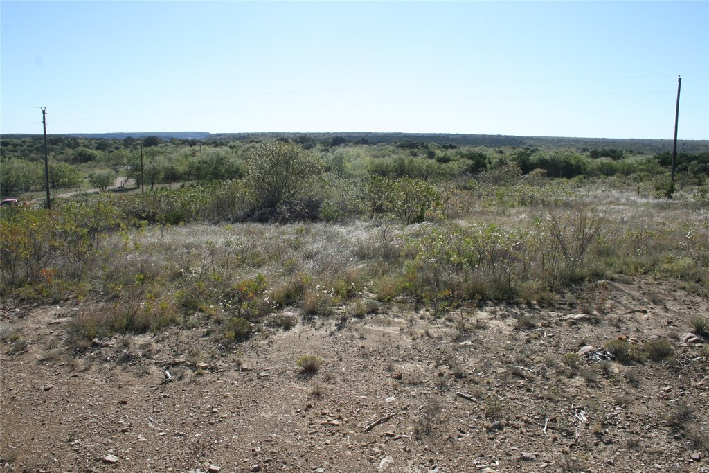 Picture 19