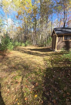 Wooded Residential Land with Clearing