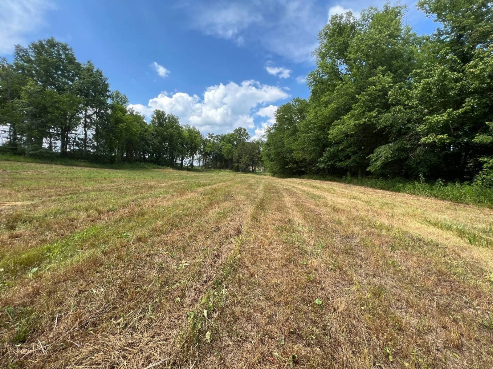 Burkesville Land Near Cumberland River