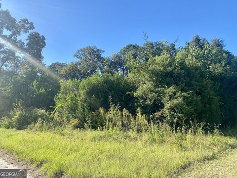 Wooded Lot in Waycross, GA
