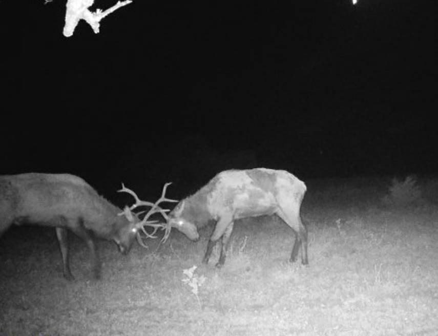 Picture 37