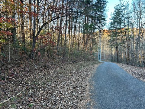 Blairsville Vacant Land Near Marina