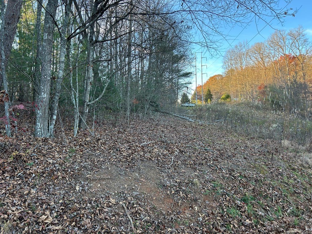Picture 3