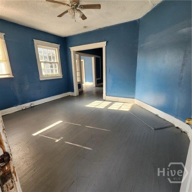 Picture 14