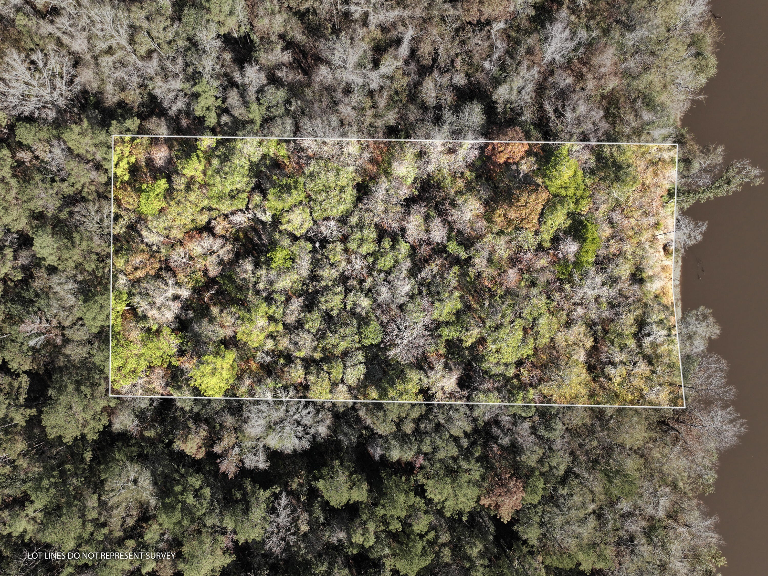 Leaf River Acreage Opportunity