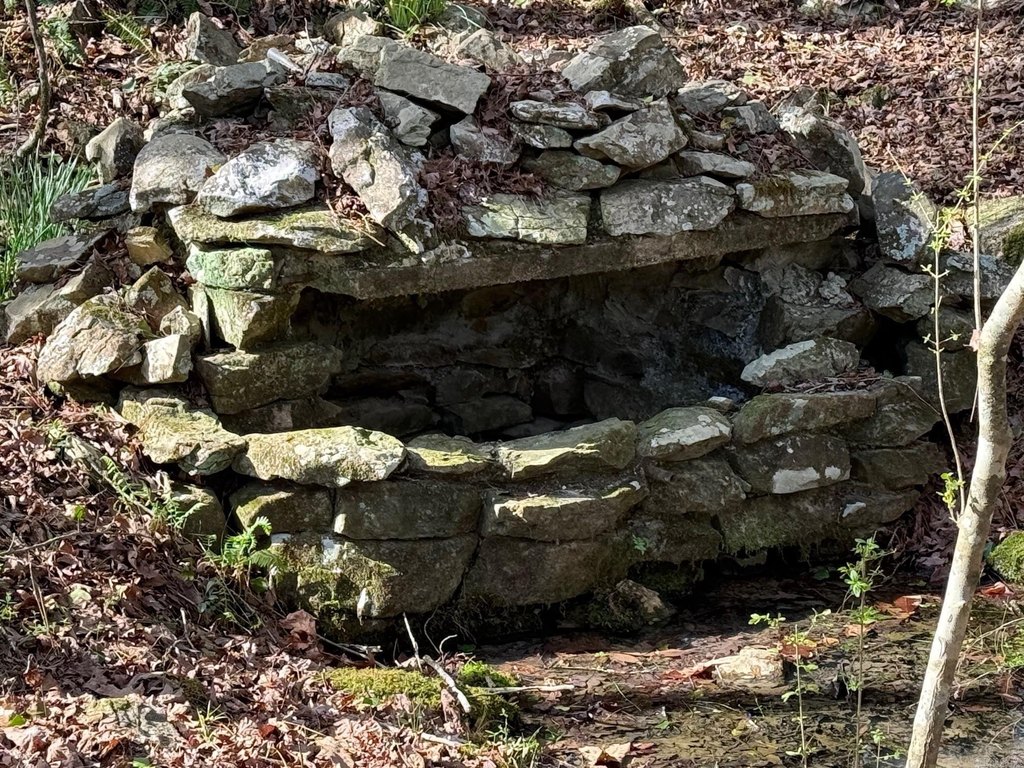 Picture 3