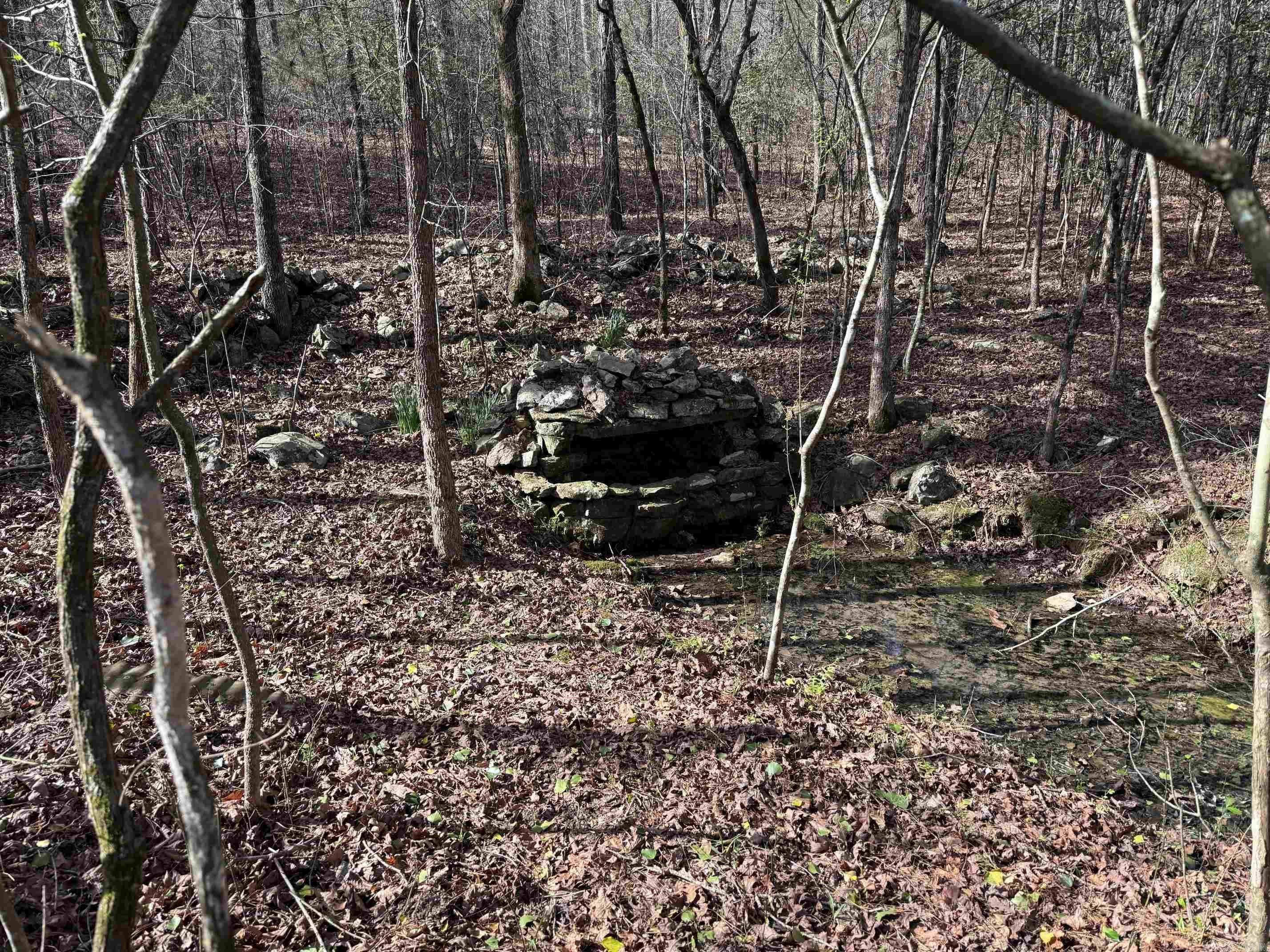 Land with Year-Round Spring