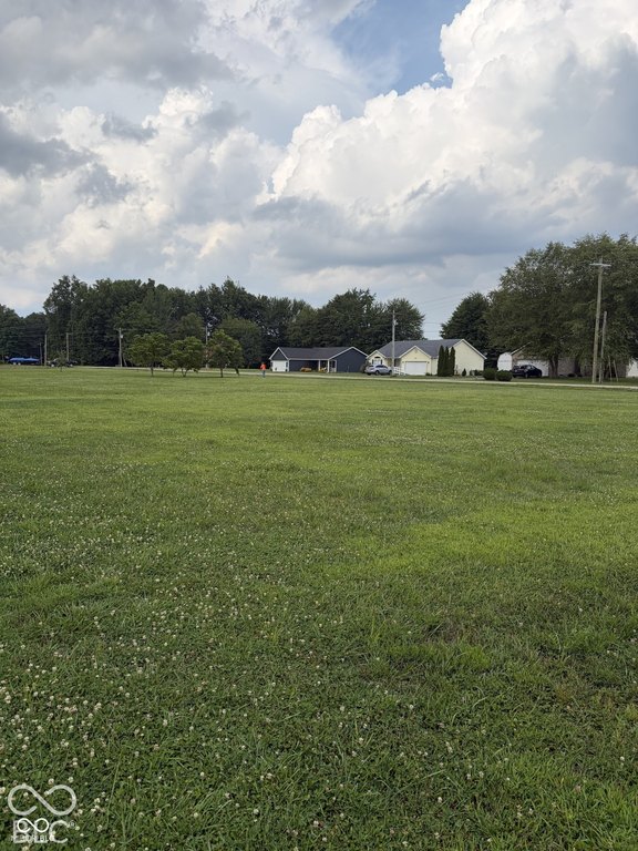 Picture 8