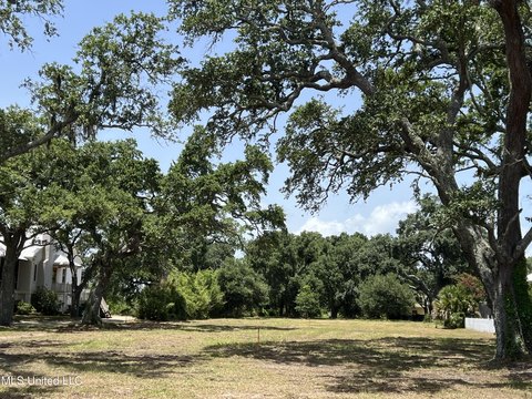 Beachfront Lot with Gulf Views