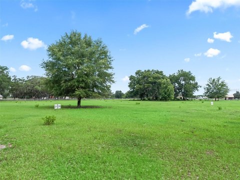 Land - BUSHNELL, FL