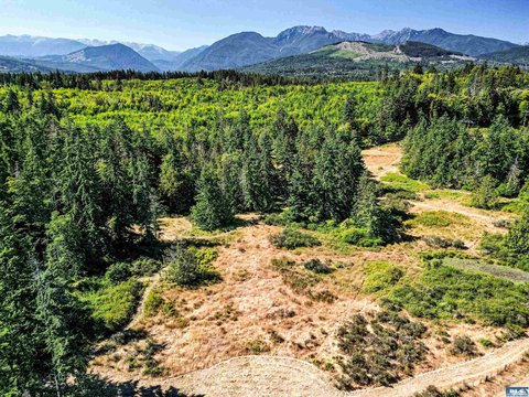 LOTS-LAND, Port Angeles, WA