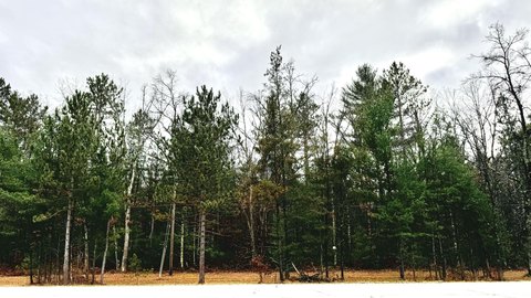 Buildable Lot Near Rails-to-Trails