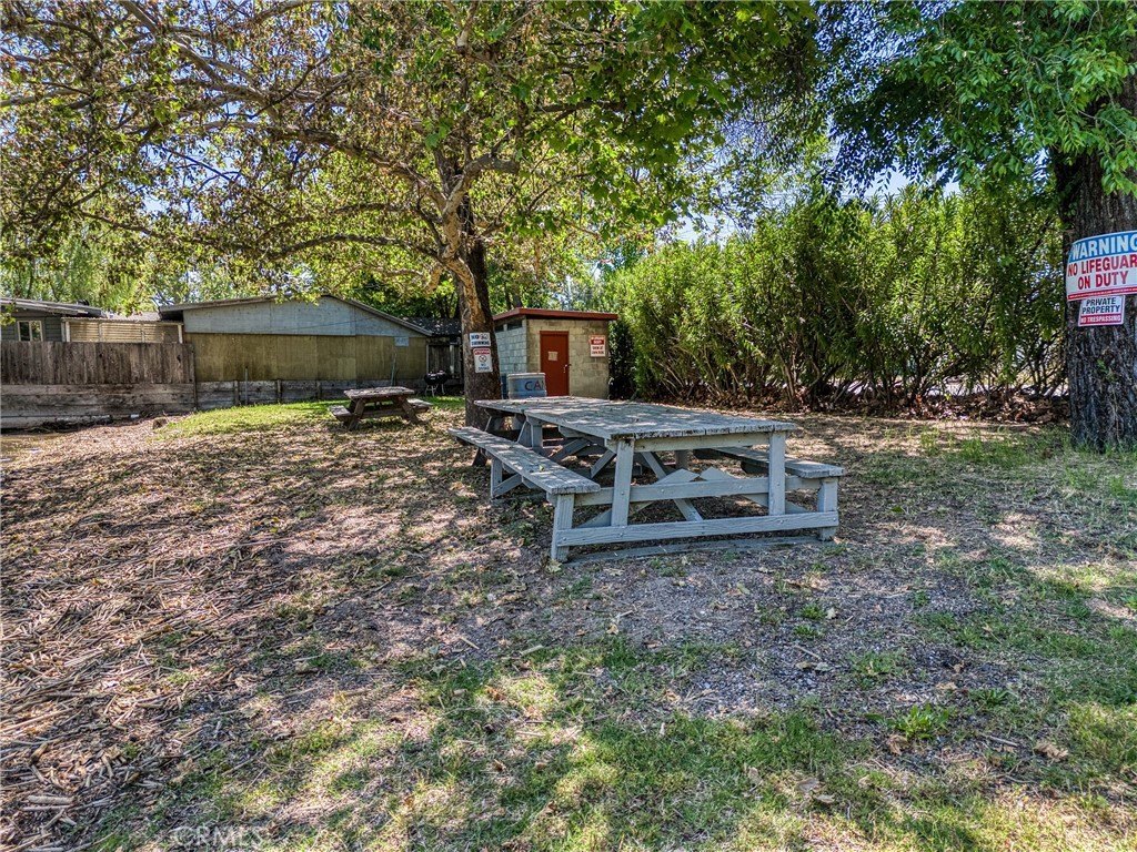 Picture 21