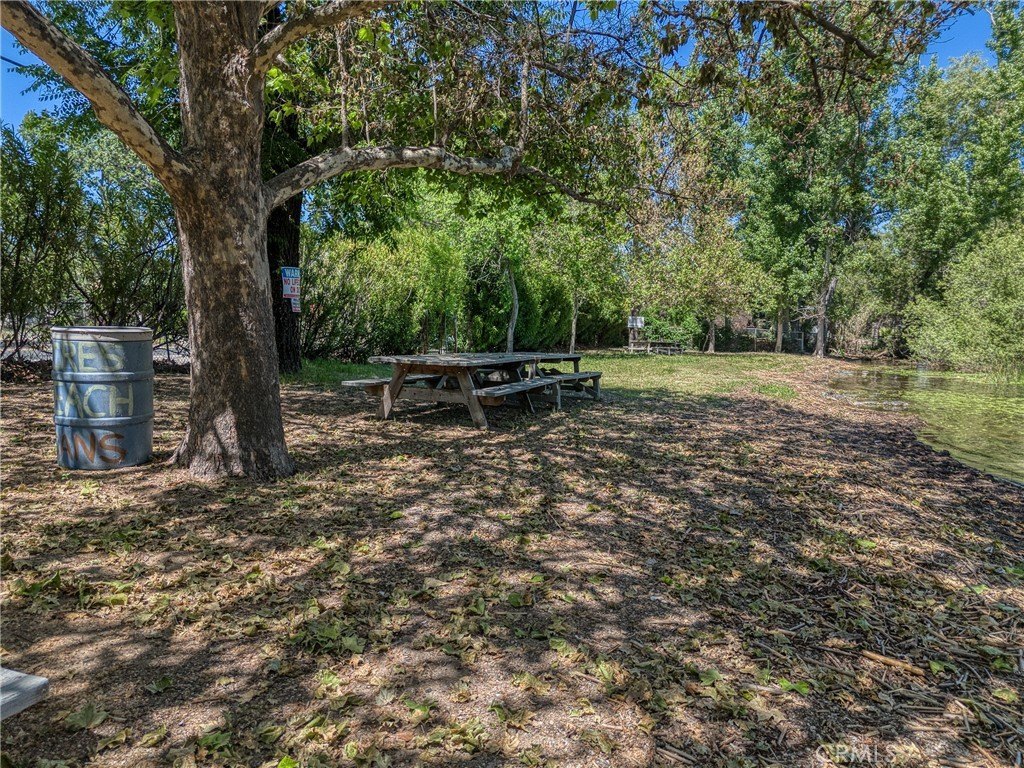 Picture 22