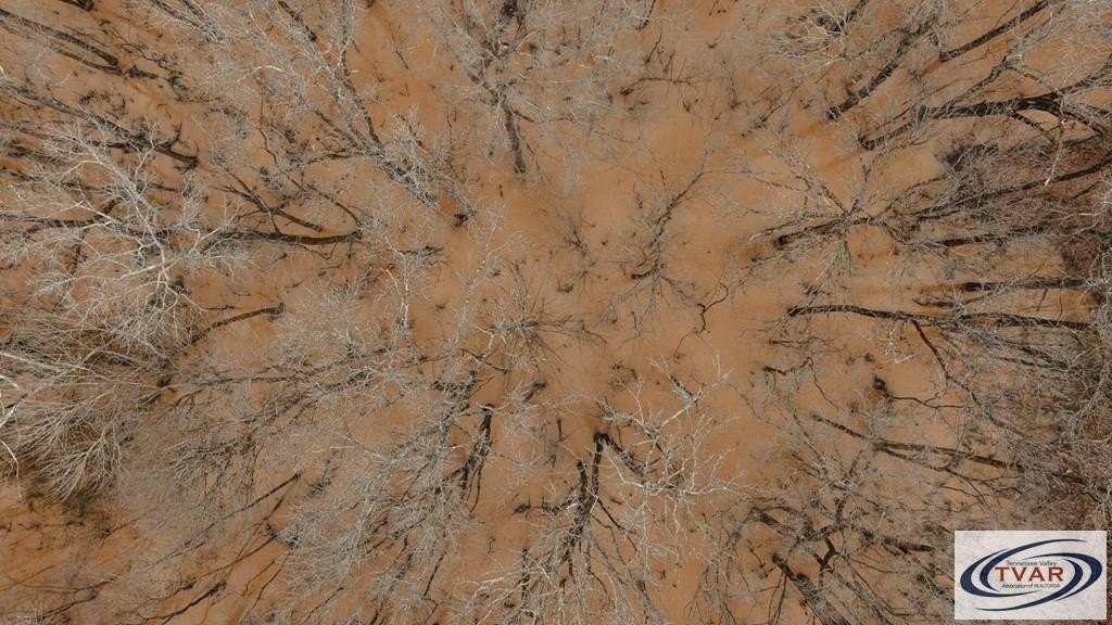 Picture 28