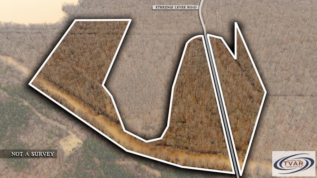 Greenfield, TN Timber Tract