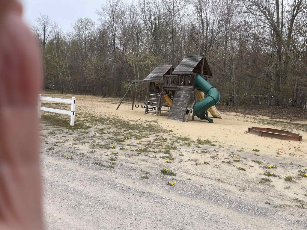 Picture 4