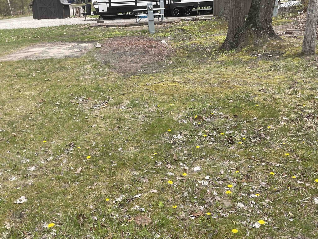 Picture 5